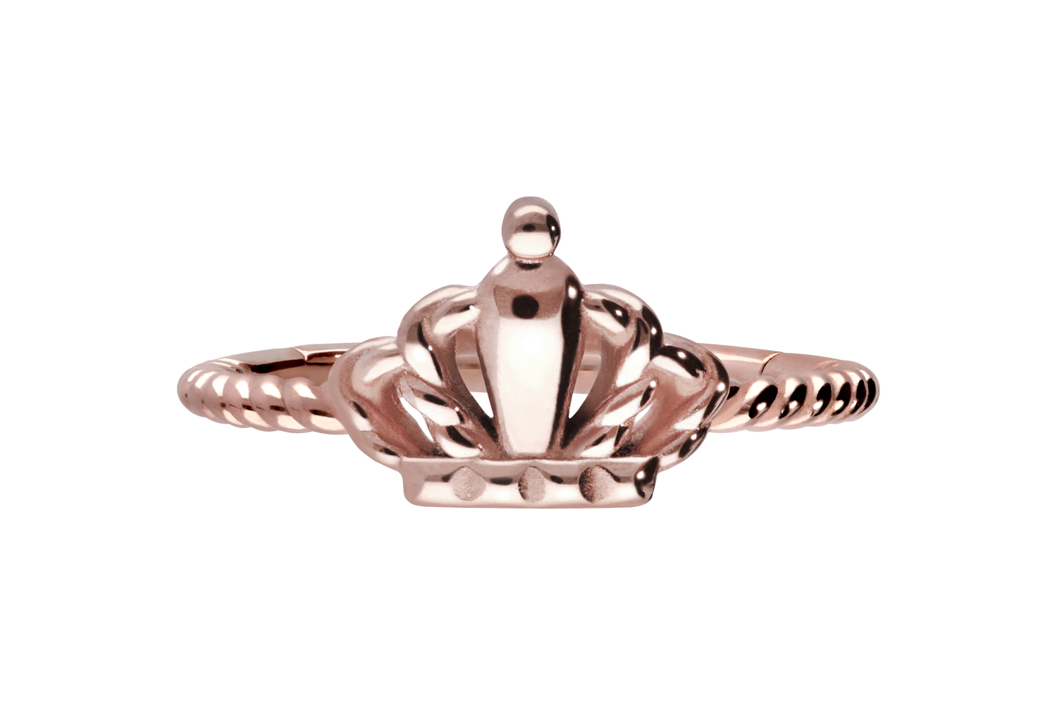 Chirurgenstahl Segmentring Clicker Piercing KRONE + GEDREHT ++SALE++